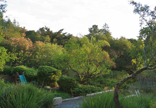 istock Beautiful garden on sunrise 1053258024