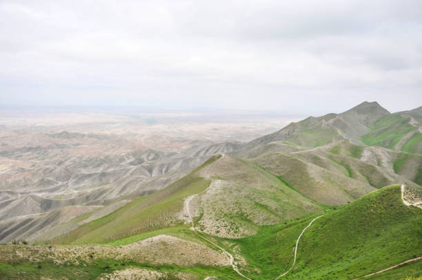 Top of Khalid Nabi