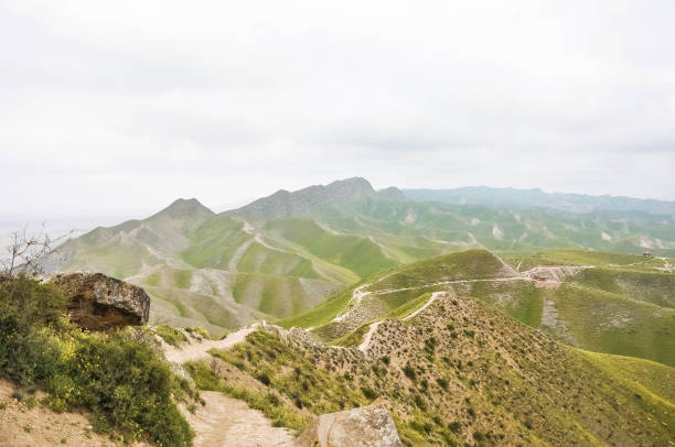Top of Khalid Nabi