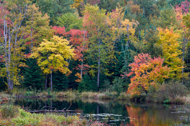 istock Autumn by the Lakeside 1053280382