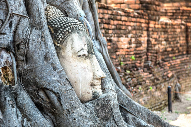istock Ayutthaya Head of Buddha statue 1053291084