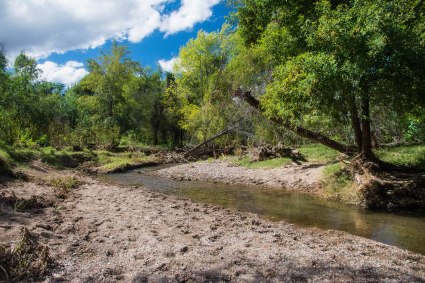 Sonoita creek stock photo