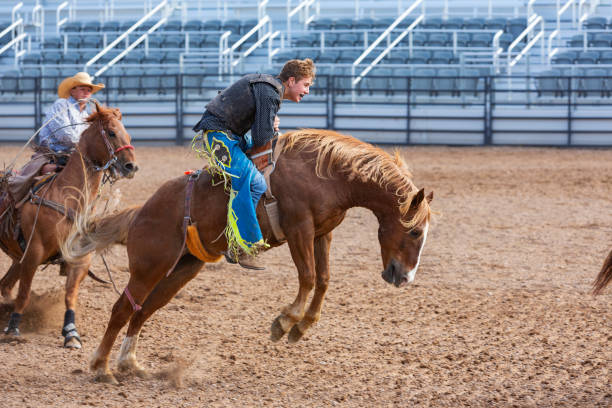 istock Cowboys Competing in the Bucking Bronco Event at a Rodeo 1053298610