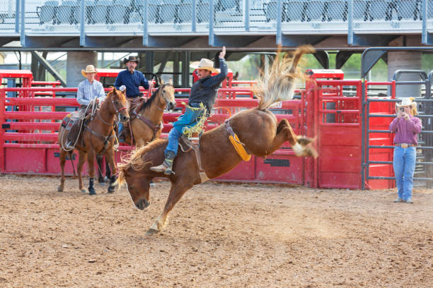 istock Cowboys Competing in the Bucking Bronco Event at a Rodeo 1053298616