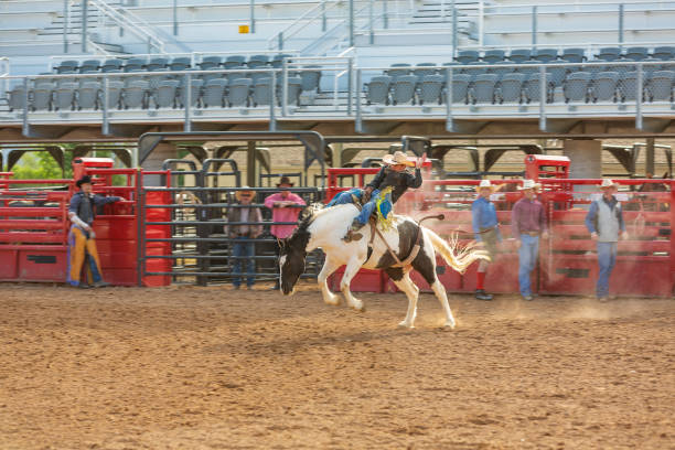 istock Cowboys Competing in the Bucking Bronco Event at a Rodeo 1053298640
