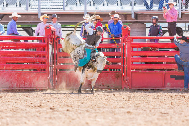istock Cowboys Competing in the Bull Riding Event at a Rodeo 1053298710