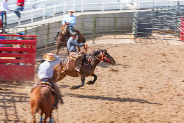 istock Cowboys Competing in the Bucking Bronco Event at a Rodeo 1053298714