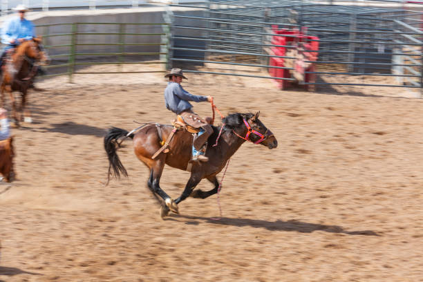 istock Cowboys Competing in the Bucking Bronco Event at a Rodeo 1053298726