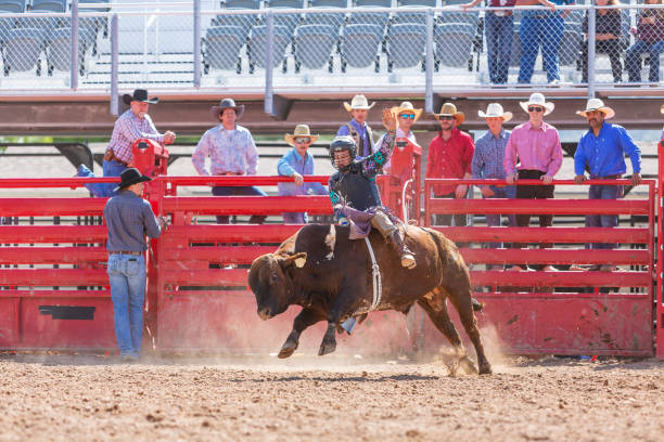 istock Cowboys Competing in the Bull Riding Event at a Rodeo 1053298730
