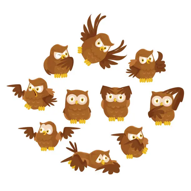 Vector illustration of cute and adorable brown owlet in various poses, cartoon character
