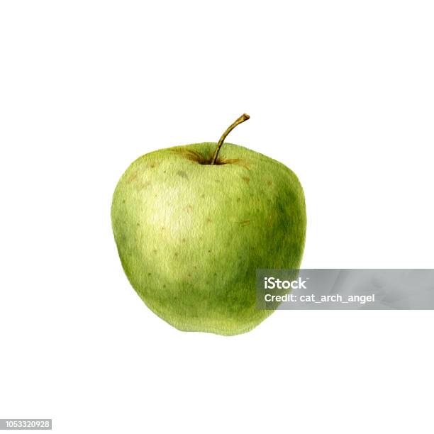 Watercolor Drawing Apple Stock Illustration - Download Image Now - Apple - Fruit, Cut Out, Dessert - Sweet Food