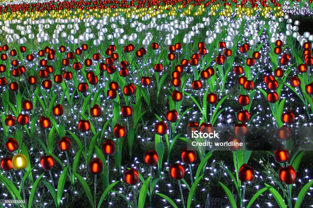 Illumination flowers Agricultural Field Stock Photo