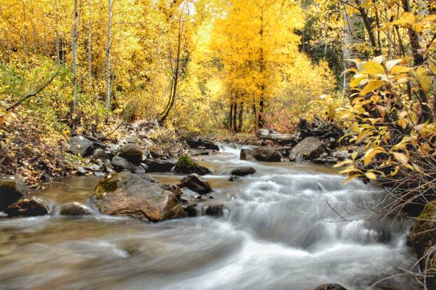 istock Autumn Colors in the Mountains 1053329112