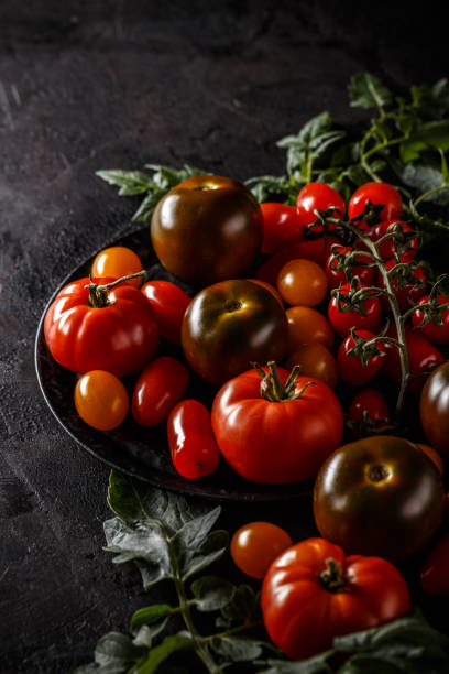 istock Close up of ripe tomatoe 1053329208