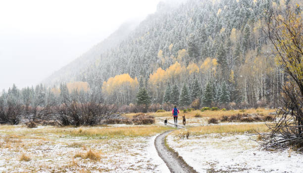 istock Woman running on a mountain trail 1053332604