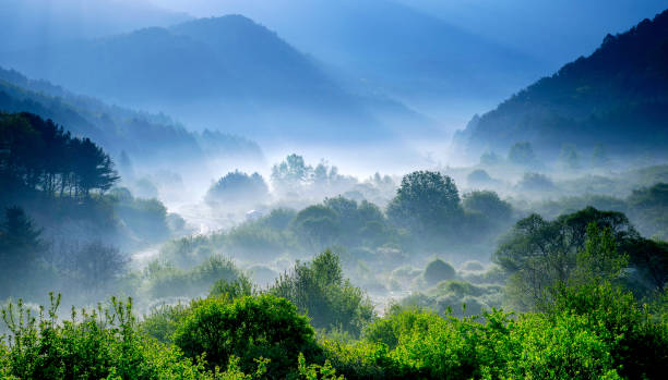 vh533 secret garden 2 - landscape forest asia mountain photos et images de collection