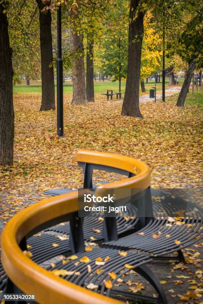 Park In Fall Stock Photo - Download Image Now - Autumn, Beauty, Bench