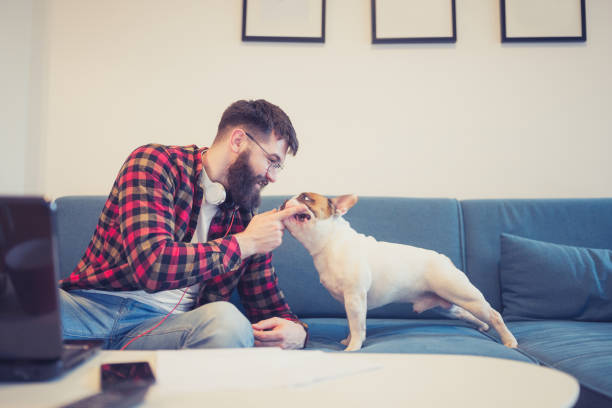 istock Handsome, hipster man sitting on the living room sofa with his dog, using laptop 1053347544