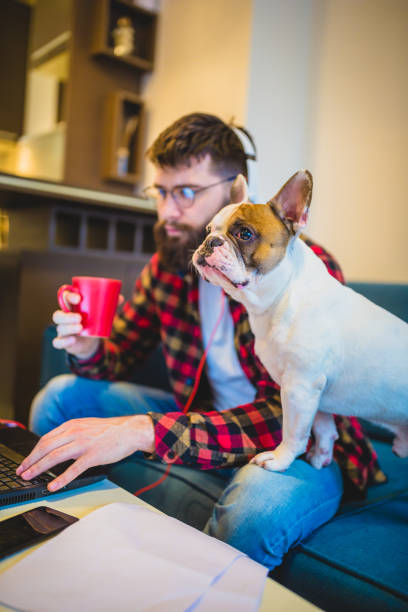 istock Handsome, hipster man sitting on the living room sofa with his dog, using laptop 1053347576