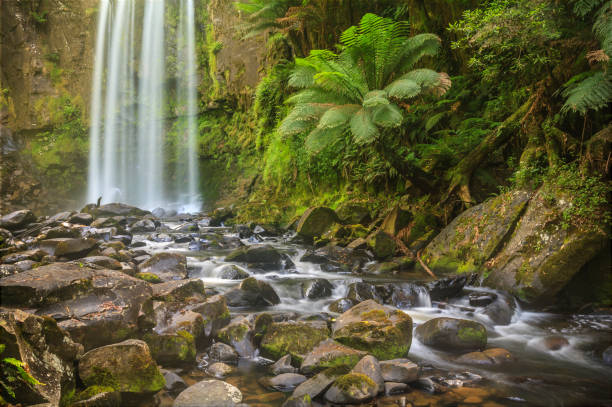 istock Great Otway National Park, Victoria, Australia 1053357872