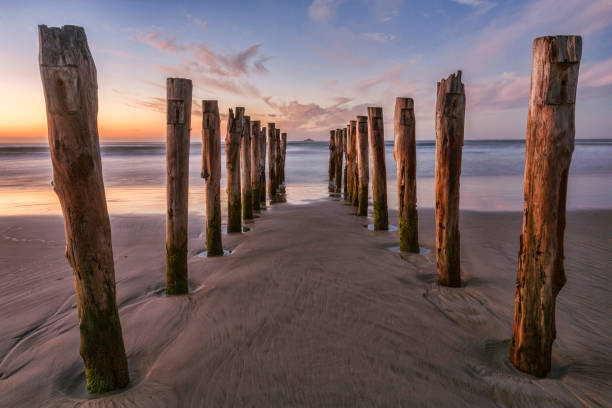 Old Jetty St Clair Beach Dunedin Old jetty posts at sunrise on St Clair Beach, Dunedin, Otago, New Zealand. dunedin new zealand stock pictures, royalty-free photos & images