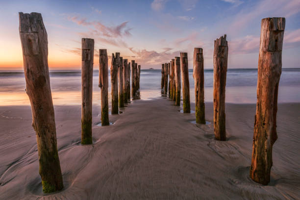 Old Jetty St Clair Beach Dunedin Old jetty posts at sunrise on St Clair Beach, Dunedin, Otago, New Zealand. old jetty dunedin stock pictures, royalty-free photos & images
