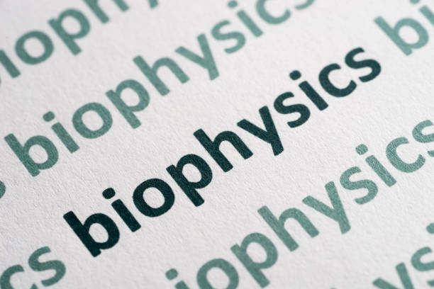 istock word biophysics printed on paper macro 1053358350