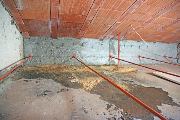 istock damp attic with serious problems of humidity and infiltrations f 1053363888