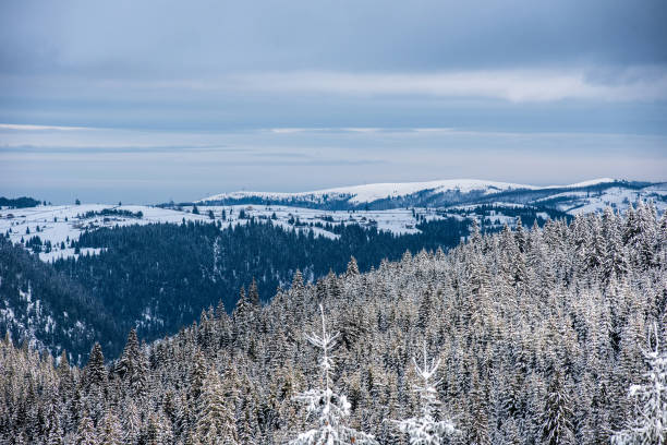 istock Winter wonderland forest 1053374184