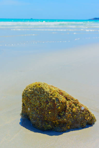 istock Stone at the beach - Seaside view of rocks 1053374932