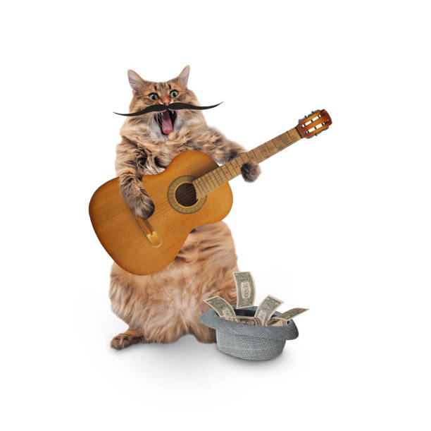 istock Funny cat with fake mustache. Concept movember. 1053380040