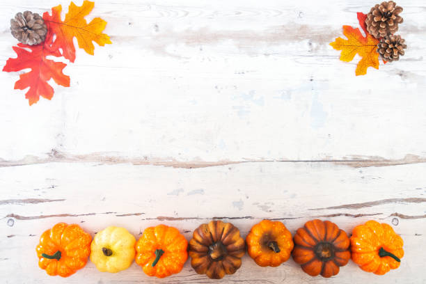 istock holiday of Halloween pumpkin background frame 1053381834