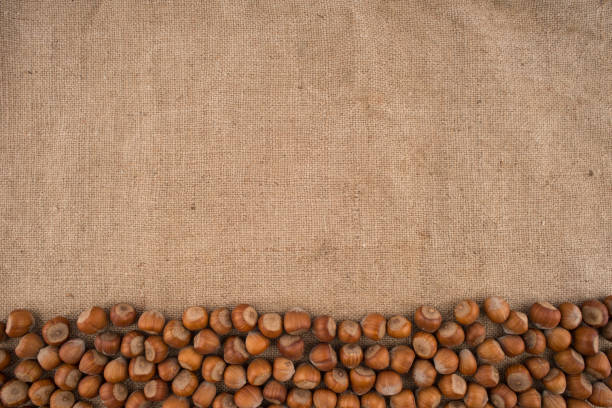 Natural, unbroken hazelnuts on a jute bag background. Top view.