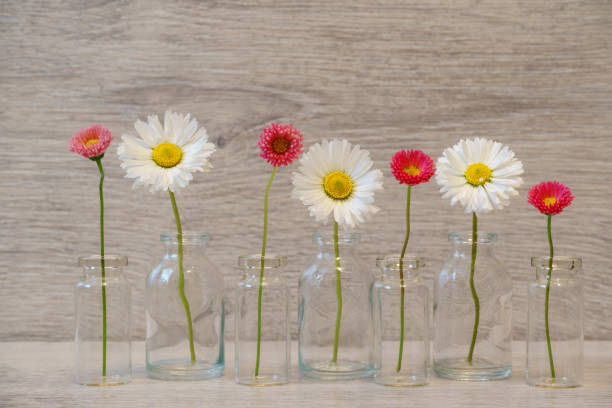 istock Summer creative still life in minimal style. White and pink Marg 1053393790