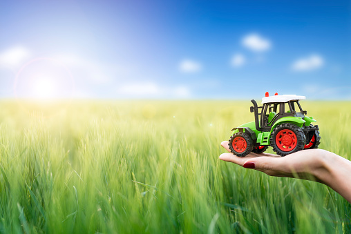 Hands holding tractor plastic toy in green wheat field representing agricultural machinery.