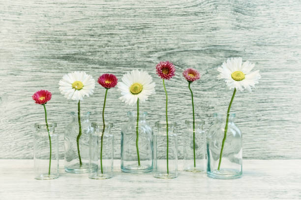 istock Summer creative still life in minimal style. White and pink Marg 1053395216