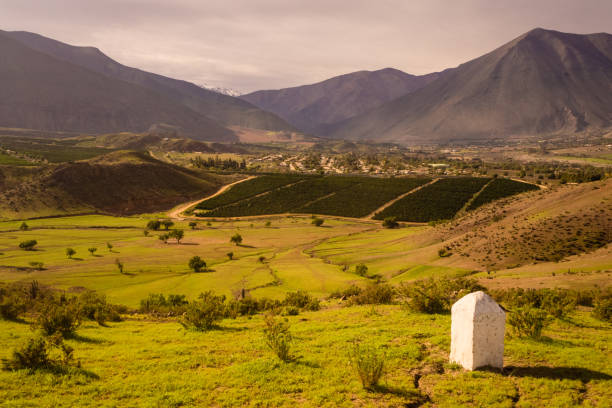 кактусы, горы и долины возле города викунья-викуна. долина эльки в чили - coquimbo region стоковые фото и изображения