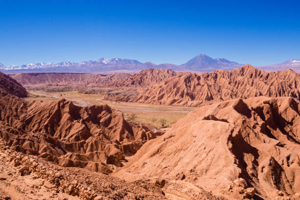-チリのアタカマ砂漠のサン ペドロ川渓谷 - flowing blue rippled environment ストックフォトと画像