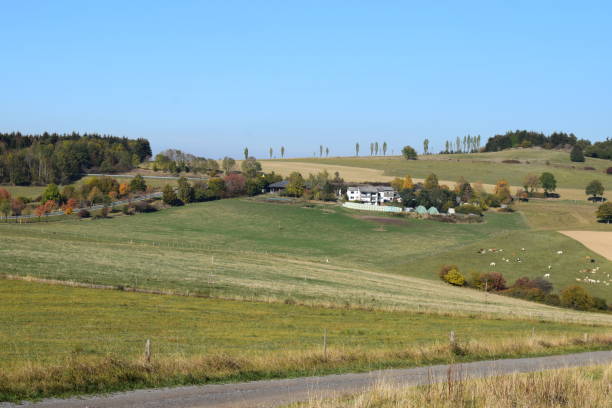 istock highland with cattle and avenue 1053406178