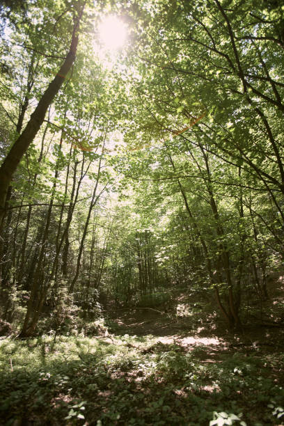 istock Out in the nature 1053406712