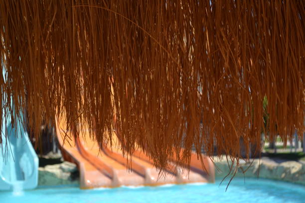 straw beach umbrella grass leaf palm roof. View through the palm leaf grass