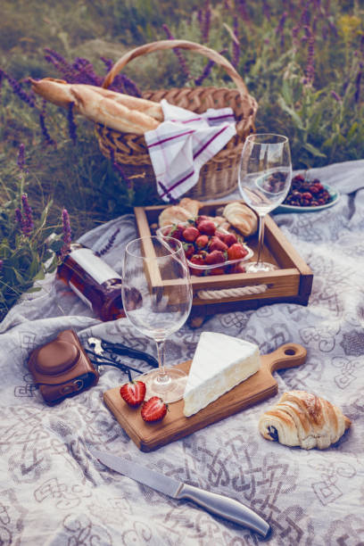 istock Summer - picnic in the meadow 1053417222