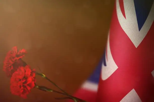 Photo of United Kingdom (UK) flag for honour of veterans or memorial day with two red carnation flowers  mockup. Glory to United Kingdom (UK) heroes of war concept on orange dark velvet.