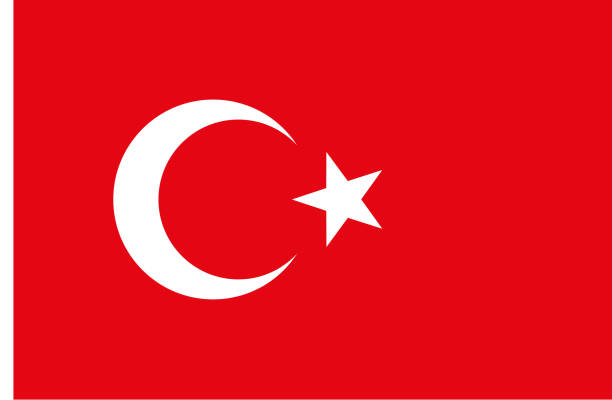 türk bayrağı doğru oranları vektör - türk bayrağı stock illustrations