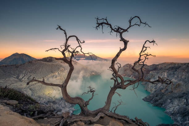 istock Dried tree on active volcano crater with turquoise lake at dawn 1053426548
