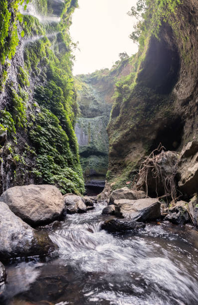 istock Majestic waterfall flowing on rocky cliff in tropical rainforest 1053426626