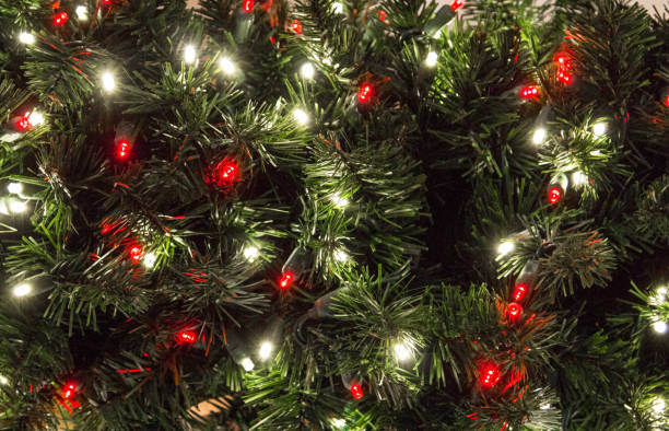 multi colored illuminated lights on christmas tree - tree lights imagens e fotografias de stock