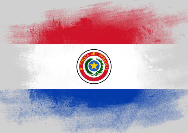 Flag of Paraguay painted with brush on solid background,
