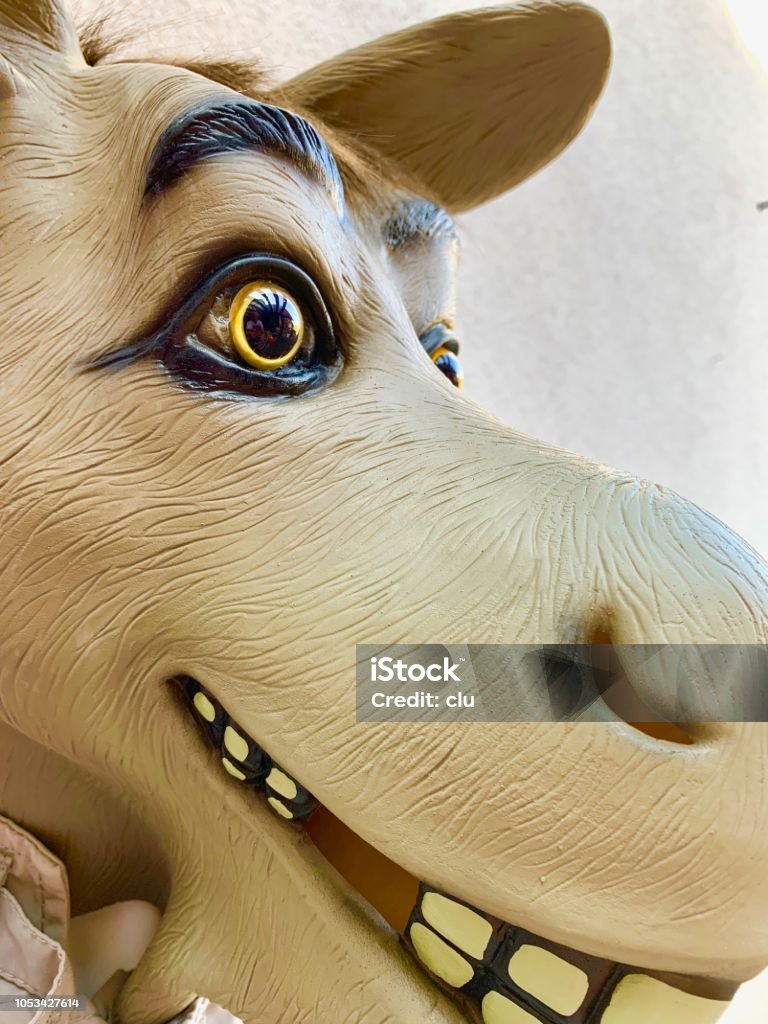 Người Đàn Ông Lừa Cận Cảnh Nụ Cười Răng Hình ảnh Sẵn có - Tải ...