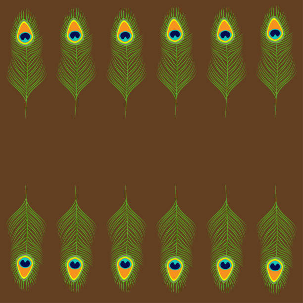 istock Peacock feather set collection. Beautiful frame. Exotic tropical bird colorful tail. Isolated. Brown background. Flat design. 1053427706